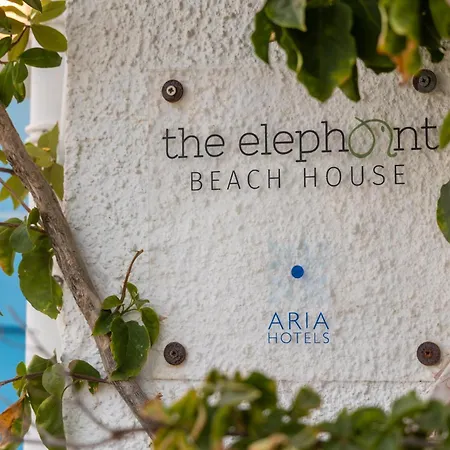 The Elephant House *