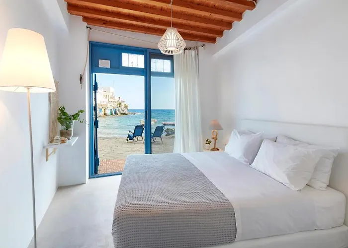 The Elephant House Daire Kímolos