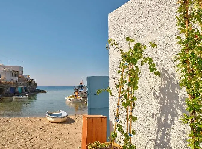 The Elephant House Daire Kímolos