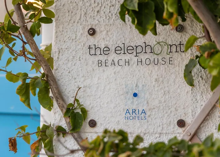 The Elephant House *