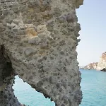 The Elephant House